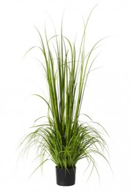 Gras in grijze pot 180cm (kunst)