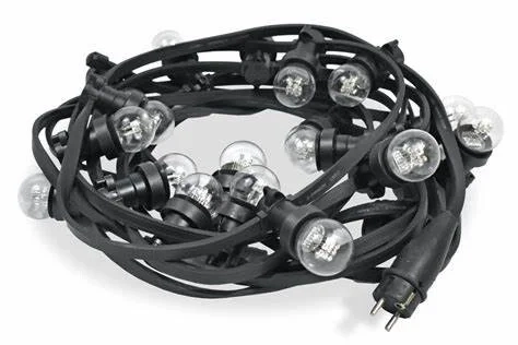 Prikkabel wit 10m (met 20 lampen)