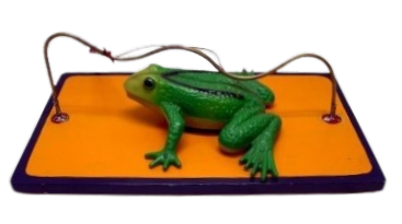 Bibberspiraal Kikker