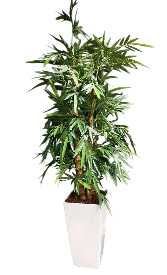 Bamboe in witte pot (kunst)