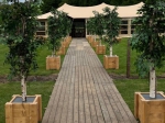 Sierboom in houten bak (kunst)