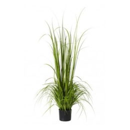 Gras in grijze pot 180cm (kunst)