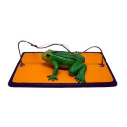 Bibberspiraal Kikker